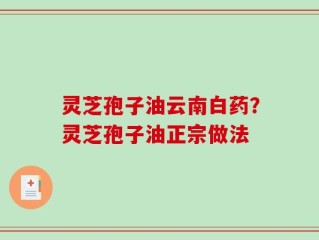 灵芝孢子油云南白药？灵芝孢子油正宗做法