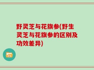 野灵芝与花旗参(野生灵芝与花旗参的区别及功效差异)
