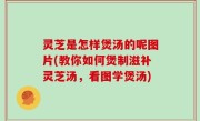 灵芝是怎样煲汤的呢图片(教你如何煲制滋补灵芝汤，看图学煲汤)