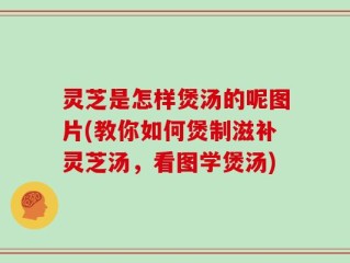 灵芝是怎样煲汤的呢图片(教你如何煲制滋补灵芝汤，看图学煲汤)