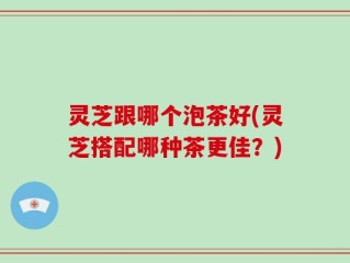 灵芝跟哪个泡茶好(灵芝搭配哪种茶更佳？)