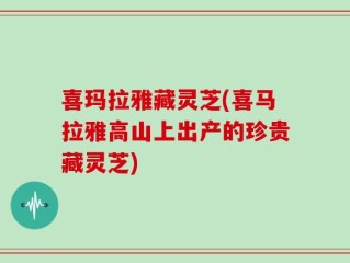 喜玛拉雅藏灵芝(喜马拉雅高山上出产的珍贵藏灵芝)