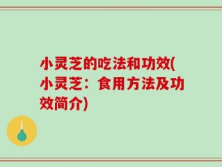 小灵芝的吃法和功效(小灵芝：食用方法及功效简介)