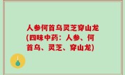 人参何首乌灵芝穿山龙(四味中药：人参、何首乌、灵芝、穿山龙)
