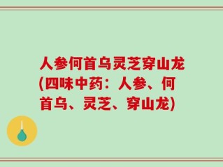 人参何首乌灵芝穿山龙(四味中药：人参、何首乌、灵芝、穿山龙)