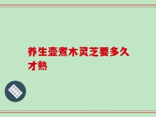 养生壶煮木灵芝要多久才熟