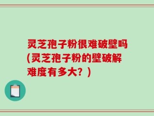 灵芝孢子粉很难破壁吗(灵芝孢子粉的壁破解难度有多大？)