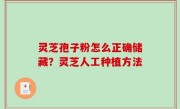 灵芝孢子粉怎么正确储藏？灵芝人工种植方法