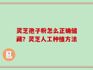 灵芝孢子粉怎么正确储藏？灵芝人工种植方法