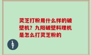 灵芝打粉用什么样的破壁机？九阳破壁料理机是怎么打灵芝粉的