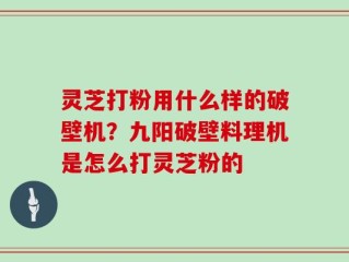 灵芝打粉用什么样的破壁机？九阳破壁料理机是怎么打灵芝粉的