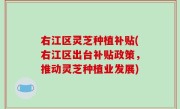 右江区灵芝种植补贴(右江区出台补贴政策，推动灵芝种植业发展)