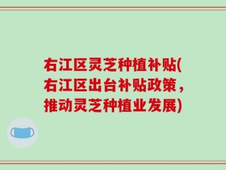 右江区灵芝种植补贴(右江区出台补贴政策，推动灵芝种植业发展)