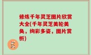 修炼千年灵芝图片欣赏大全(千年灵芝美轮美奂，绚彩多姿，图片赏析)