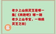 老少上山摘灵芝是哪一集(《奔跑吧》哪一期老少上山寻宝，一场摘灵芝之旅)