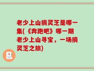 老少上山摘灵芝是哪一集(《奔跑吧》哪一期老少上山寻宝，一场摘灵芝之旅)