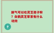 脚气可以吃灵芝孢子粉？白鹤灵芝草茶有什么功效