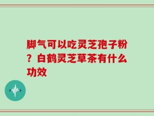 脚气可以吃灵芝孢子粉？白鹤灵芝草茶有什么功效