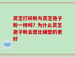 灵芝打碎粉与灵芝孢子粉一样吗？为什么灵芝孢子粉去壁比破壁的更好