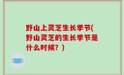野山上灵芝生长季节(野山灵芝的生长季节是什么时候？)