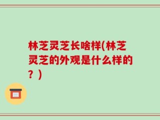 林芝灵芝长啥样(林芝灵芝的外观是什么样的？)