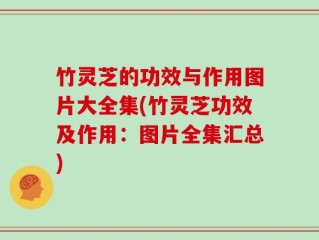 竹灵芝的功效与作用图片大全集(竹灵芝功效及作用：图片全集汇总)
