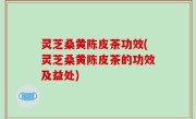 灵芝桑黄陈皮茶功效(灵芝桑黄陈皮茶的功效及益处)