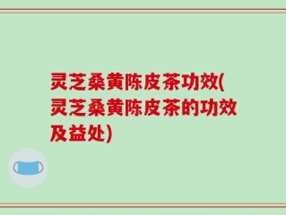 灵芝桑黄陈皮茶功效(灵芝桑黄陈皮茶的功效及益处)