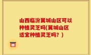 山西临汾翼城山区可以种植灵芝吗(翼城山区适宜种植灵芝吗？)