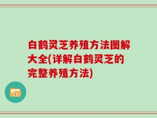 白鹤灵芝养殖方法图解大全(详解白鹤灵芝的完整养殖方法)