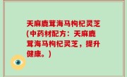 天麻鹿茸海马枸杞灵芝(中药材配方：天麻鹿茸海马枸杞灵芝，提升健康。)