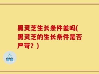 黑灵芝生长条件差吗(黑灵芝的生长条件是否严苛？)