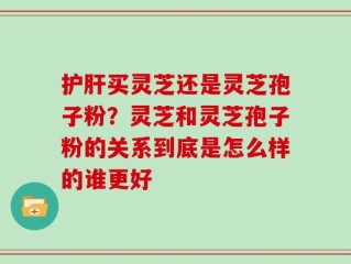 护肝买灵芝还是灵芝孢子粉？灵芝和灵芝孢子粉的关系到底是怎么样的谁更好