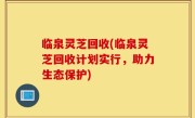 临泉灵芝回收(临泉灵芝回收计划实行，助力生态保护)