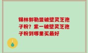 锡林郭勒盟破壁灵芝孢子粉？紫一破壁灵芝孢子粉到哪里买最好