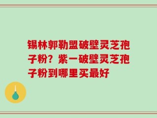 锡林郭勒盟破壁灵芝孢子粉？紫一破壁灵芝孢子粉到哪里买最好