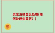 灵芝没熟怎么处理(如何处理生灵芝？)