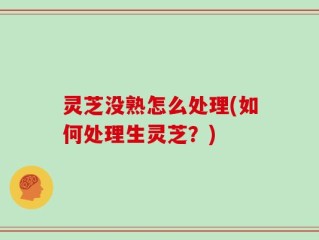 灵芝没熟怎么处理(如何处理生灵芝？)