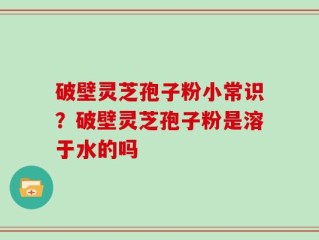 破壁灵芝孢子粉小常识？破壁灵芝孢子粉是溶于水的吗