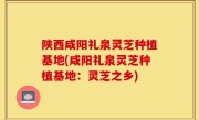 陕西咸阳礼泉灵芝种植基地(咸阳礼泉灵芝种植基地：灵芝之乡)