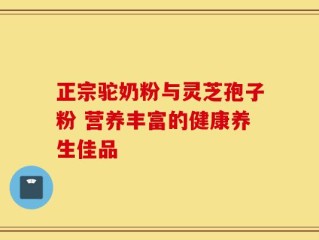 正宗驼奶粉与灵芝孢子粉 营养丰富的健康养生佳品