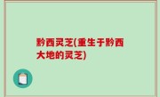 黔西灵芝(重生于黔西大地的灵芝)