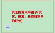 灵芝鹿茸天麻孢子(灵芝、鹿茸、天麻和孢子的好处)