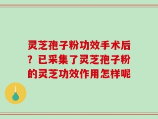 灵芝孢子粉功效手术后？已采集了灵芝孢子粉的灵芝功效作用怎样呢