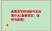 桑黄灵芝的功能与主治是什么(桑黄灵芝：功效与应用)