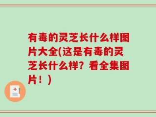 有毒的灵芝长什么样图片大全(这是有毒的灵芝长什么样？看全集图片！)