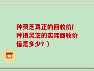种灵芝真正的回收价(种植灵芝的实际回收价值是多少？)