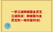 一梦江湖顾晴霜金灵芝江湖风波：顾晴霜与金灵芝的一场华丽对决)