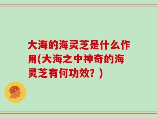 大海的海灵芝是什么作用(大海之中神奇的海灵芝有何功效？)