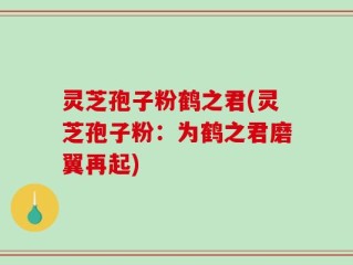 灵芝孢子粉鹤之君(灵芝孢子粉：为鹤之君磨翼再起)
